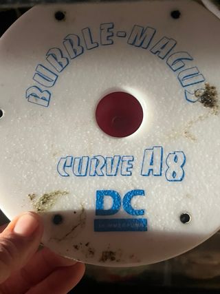 Acuario completo de cristal y piedra