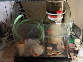 Acuario completo de cristal y piedra