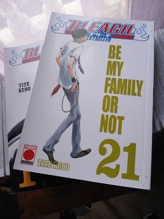 Reedición bleach (best seller) n.1