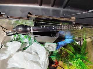 Pecera con tapa negra