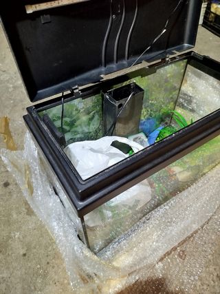 Pecera con tapa negra