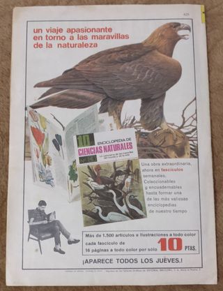 6 TEBEOS DE CAPITAN TRUENO EXTRA.