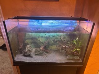 Acuario con mueble negro