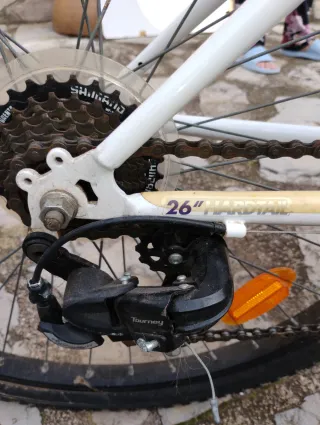 Bicicleta niña Bwin 26" precio negociable,no envío