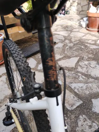 Bicicleta niña Bwin 26" precio negociable,no envío