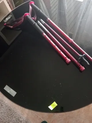 Pareja de bastones Nordic Walking ajustables