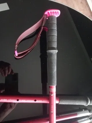 Pareja de bastones Nordic Walking ajustables