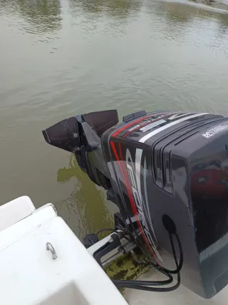 Motor fueraborda FORCE 75