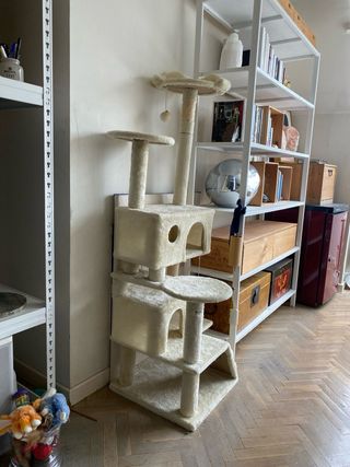 Rascador Casa Árbol para Gatos