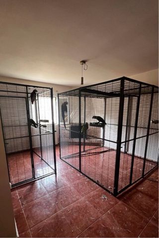 Voladera IMOR 2x2m loros