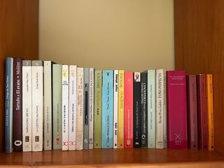 Lote libros Literatura clásica española.
