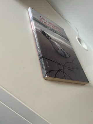 Una ampolla al mar de Gaza