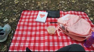 Manta de Picnic Cuadros Rojo y Blanco