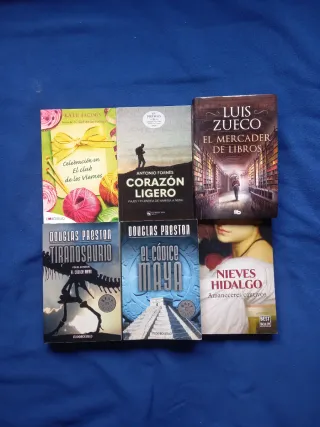 LOTE DE 40 LIBROS