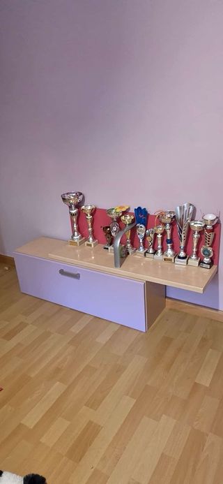 Cama nido juvenil niña