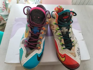 Zapatillas Nike LeBron James Retro Multicolor