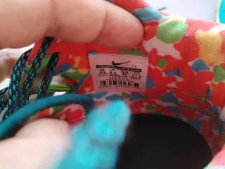 Zapatillas Nike LeBron James Retro Multicolor