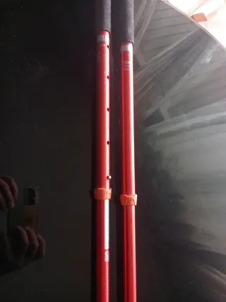 Pareja de bastones Nordic Walking ajustables