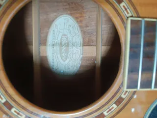 Washburn WMJ21SCE Guitarra Acústica Natural