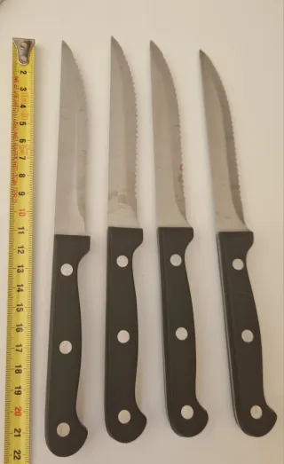 Set 4 Coltelli da Carne Kreativa