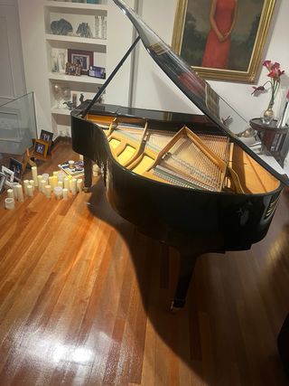 Piano de cola RÖNISCH Profesional