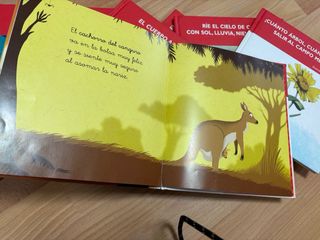 Colección libros de rimas primeros lectores