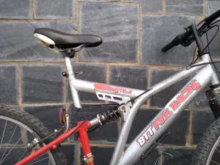 Bicicleta de Montaña