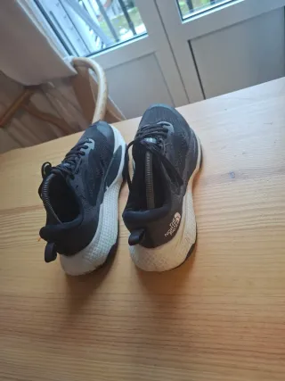 Zapatillas The North Face Altamesa 44