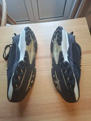 Zapatillas The North Face Altamesa 44