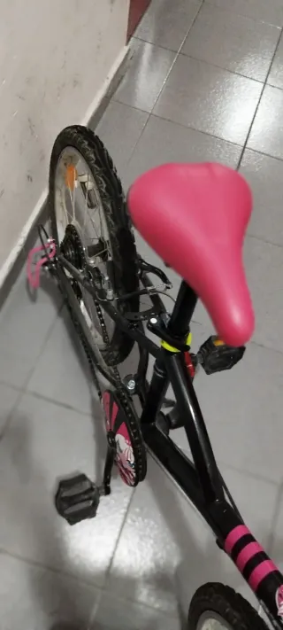 Bicicleta niña 20 pulgadas