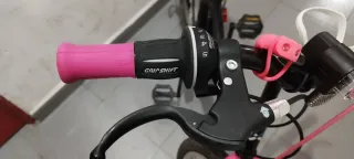 Bicicleta niña 20 pulgadas