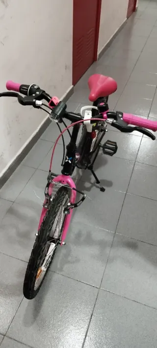 Bicicleta niña 20 pulgadas