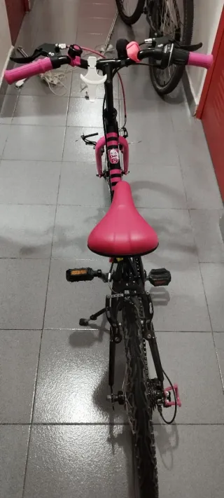 Bicicleta niña 20 pulgadas
