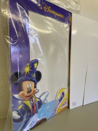 2 Cornici Foto Disneyland 20 Anni