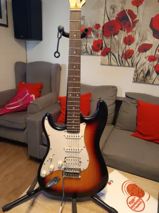 Due chitarre elettriche