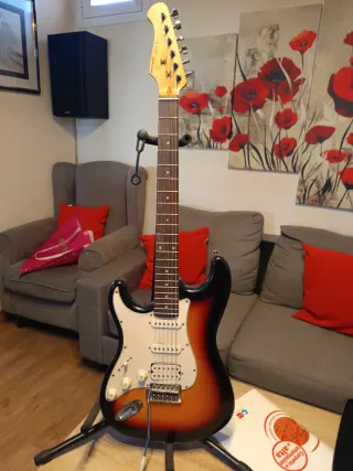 Due chitarre elettriche