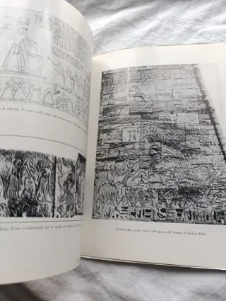 Libro el arte militar del antiguo Egipto