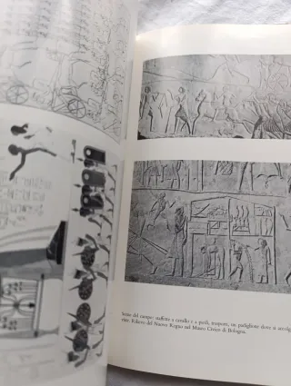Libro el arte militar del antiguo Egipto