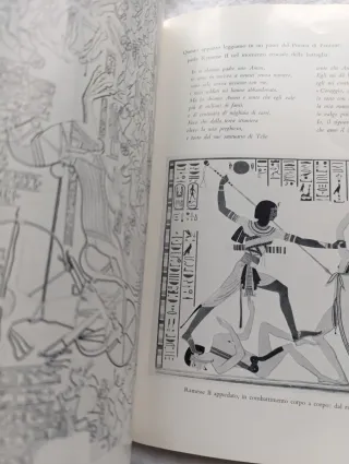 Libro el arte militar del antiguo Egipto