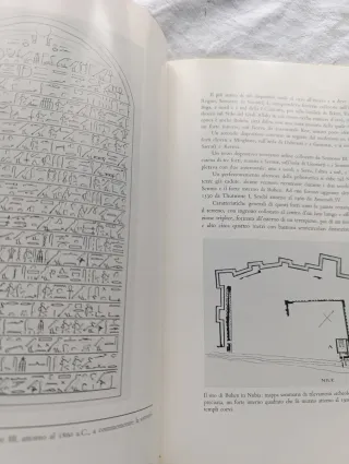 Libro el arte militar del antiguo Egipto