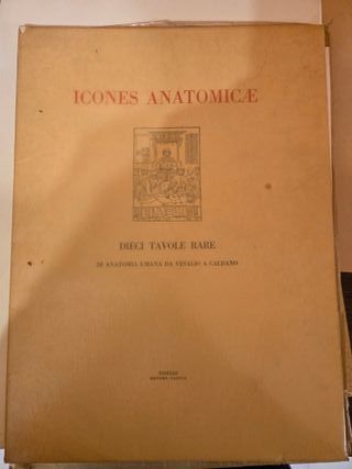 10 tavole rare di anatomia umana