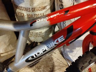 Bicicleta TOPBIKE Roja y Plateada