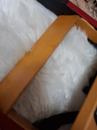 Trona Wonderkids Plegable Madera