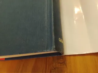 Louisa May Alcott, Le Piccole Donne Crescono