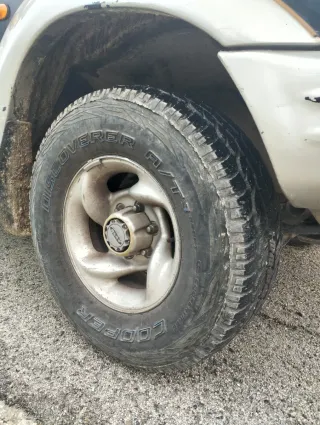 Galloper Exceed 1998