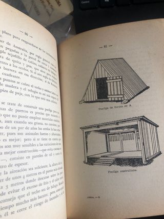 Cria Lucrativa del Cerdo (1959)