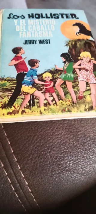 Libró de los Hollister