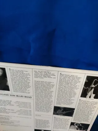 lp Sunnyland slim blues band - Chicago Jump