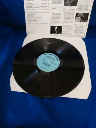 lp Sunnyland slim blues band - Chicago Jump