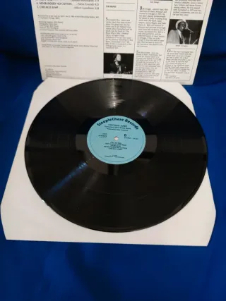 lp Sunnyland slim blues band - Chicago Jump